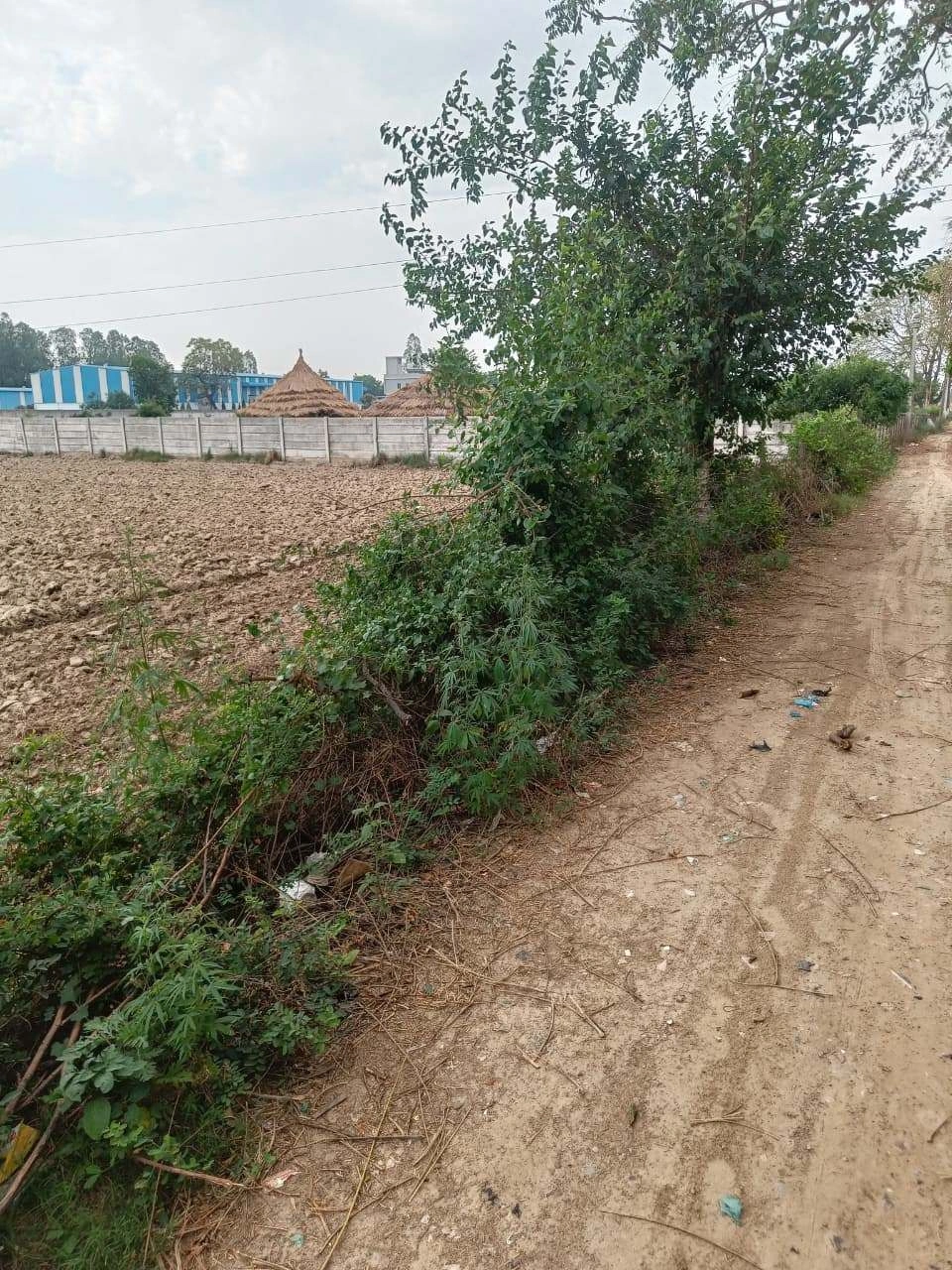 Chhata, Uttar Pradesh 281401, India