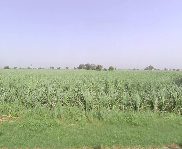 Baraut, Uttar Pradesh 250611, India