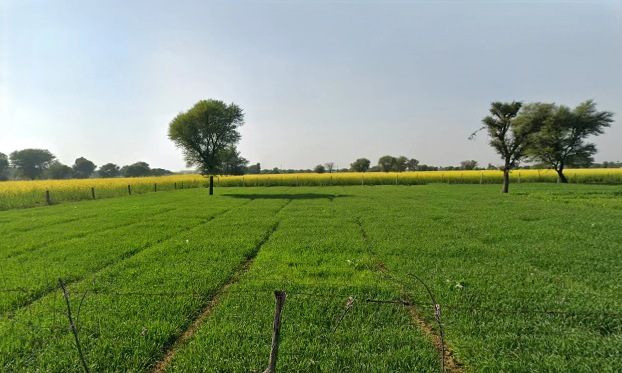 Kotkhawda, Rajasthan 303908, India