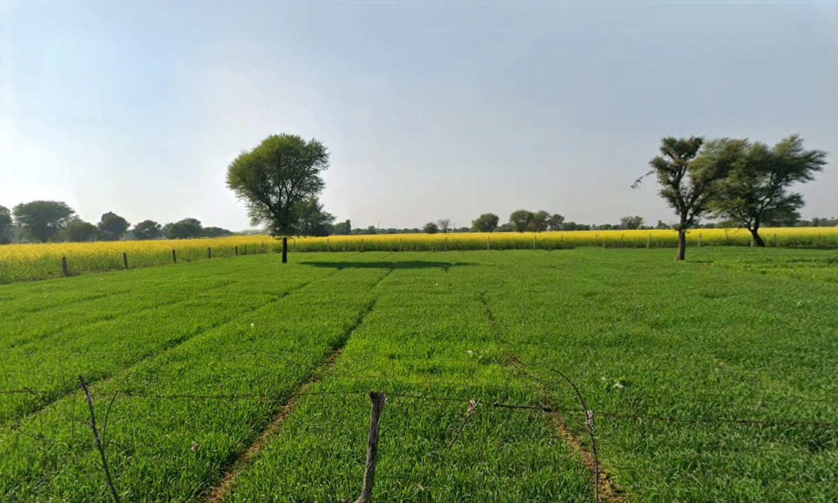 Kotkhawda, Rajasthan 303908, India