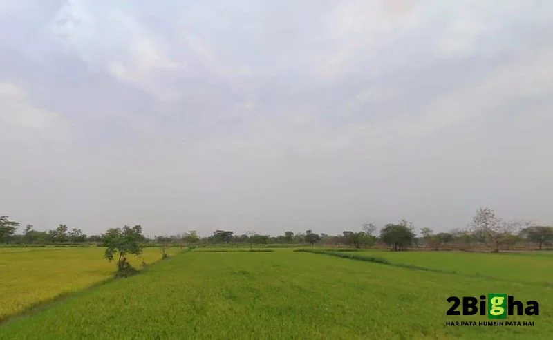 Rajnandgaon, Chhattisgarh 491441, India preview 3