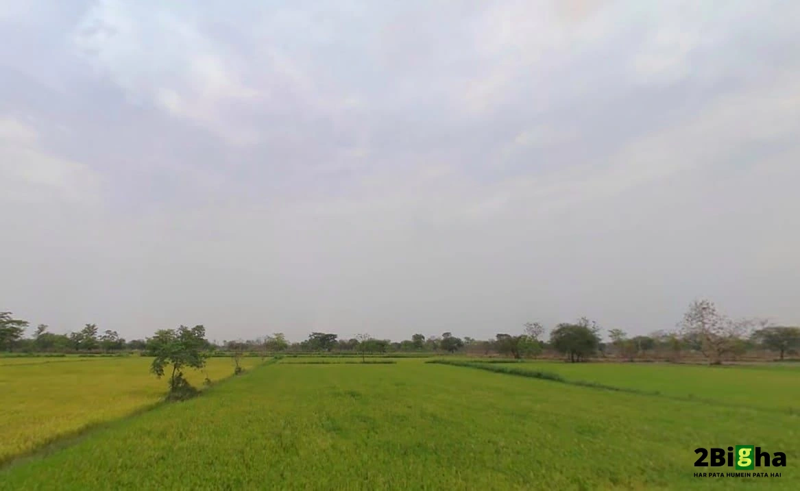Rajnandgaon, Chhattisgarh 491441, India