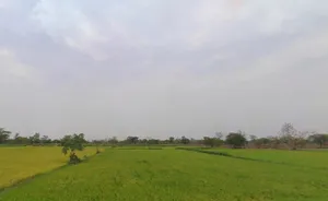 Rajnandgaon, Chhattisgarh 491441, India preview 3