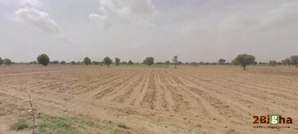 Bhanawatawala, Rajasthan 334808, India