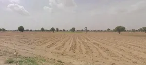 Bhanawatawala, Rajasthan 334808, India preview 3