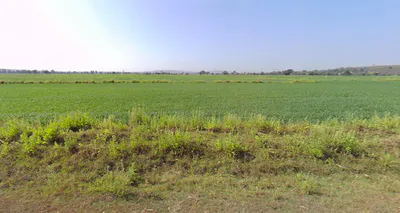 Obaidullaganj, Madhya Pradesh 464993, India preview 3