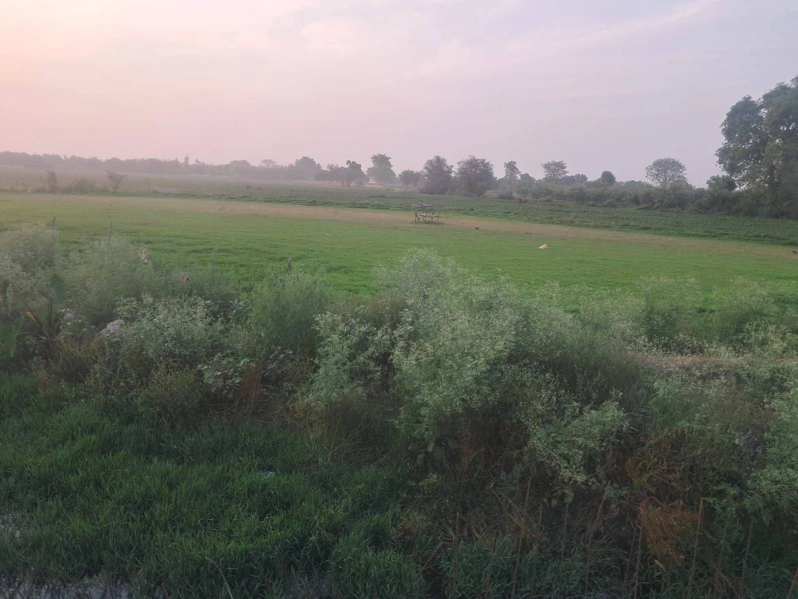 Nagina, Uttar Pradesh 246762, India