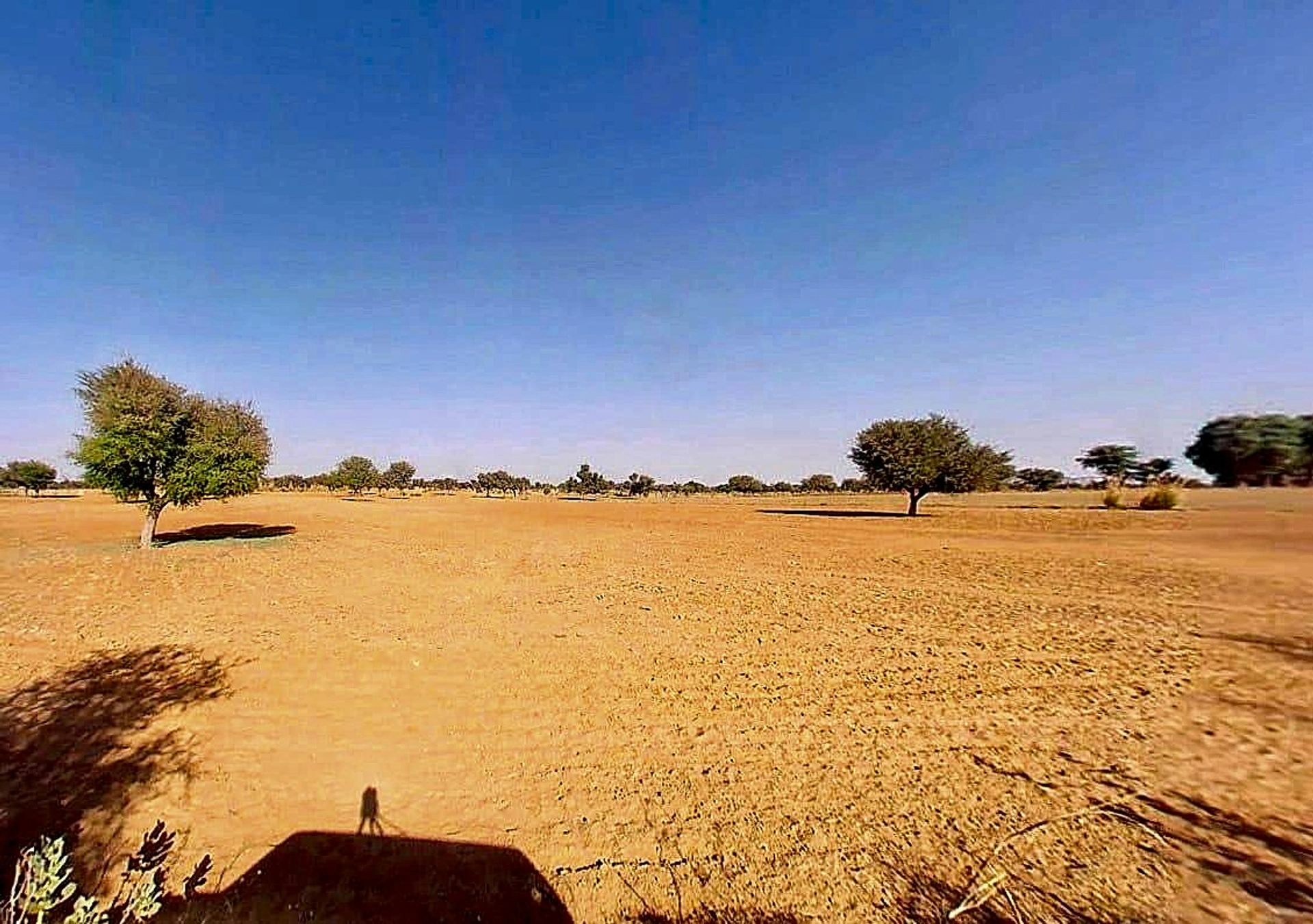 Dhani Boraj, Rajasthan 303328, India