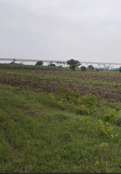 2CVF+XV Bhavabhi Khijadiya, Jamnagar, Gujarat, India