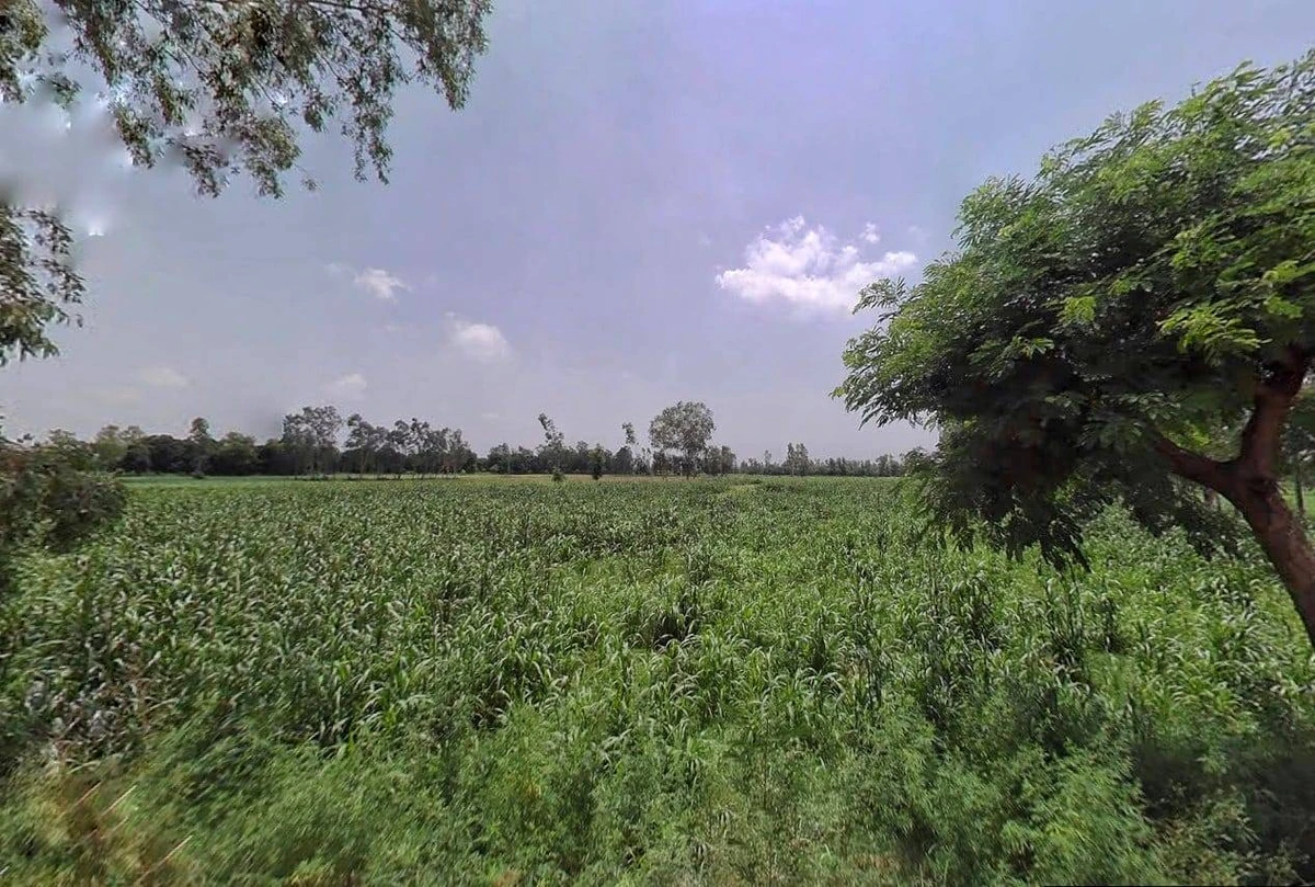 Kithaur, Uttar Pradesh 250104, India