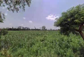 Kithaur, Uttar Pradesh 250104, India preview 2