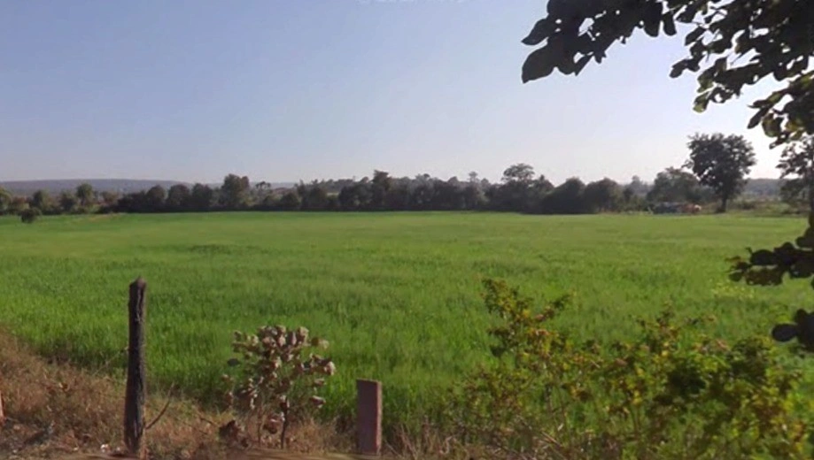 48VR+W8M, Bhanpur, Madhya Pradesh 462044, India