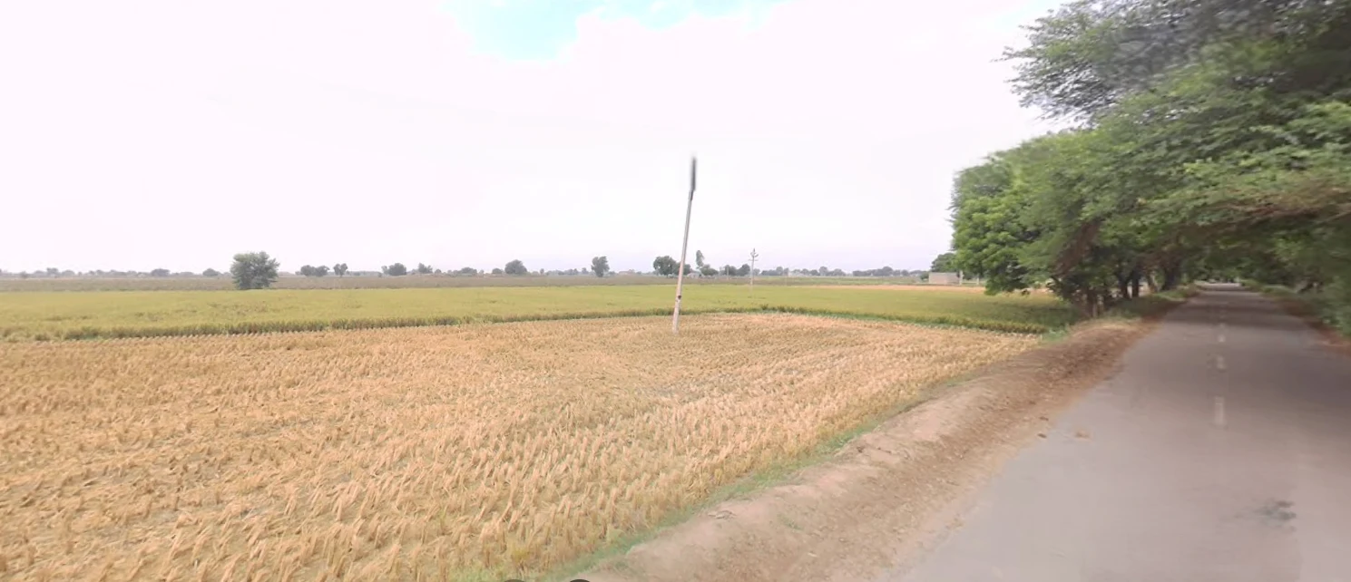 Kaluana, Haryana 125103, India