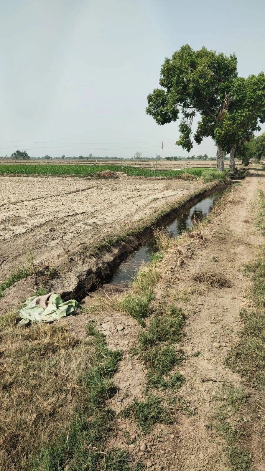 Beri, Haryana 124201, India preview 2