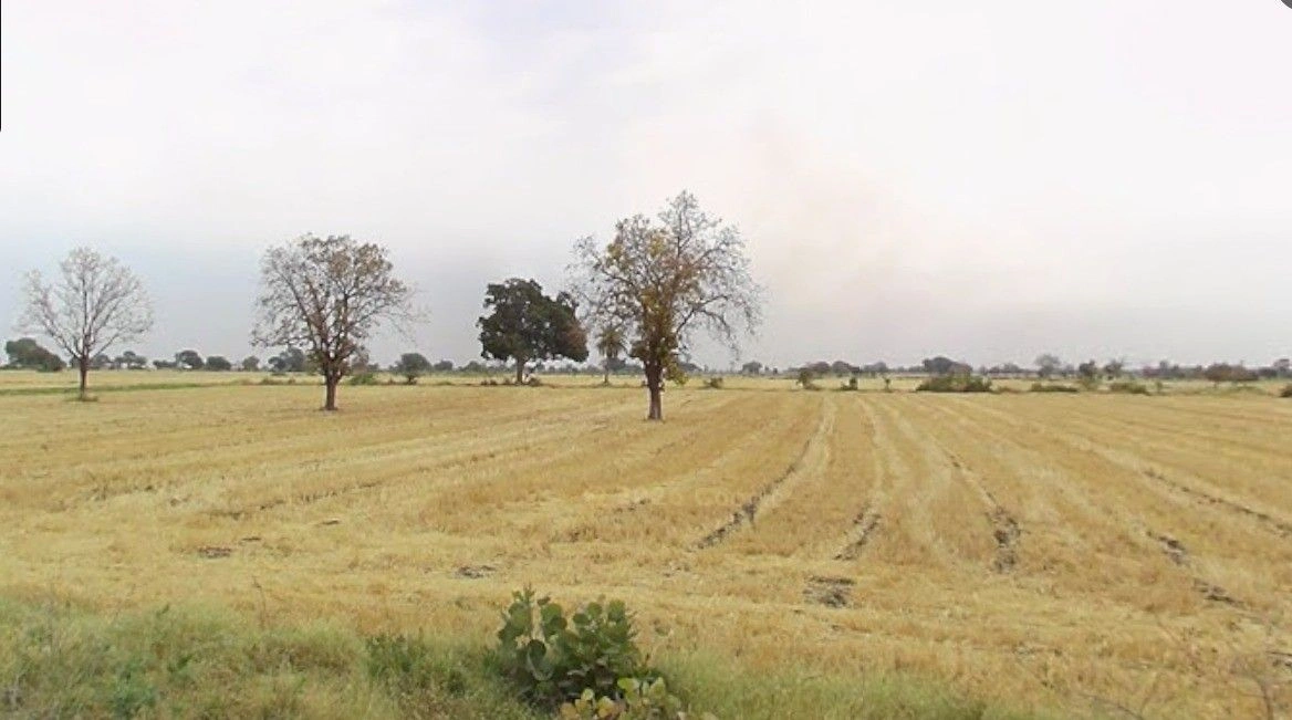 Kotwada, Madhya Pradesh 450001, India