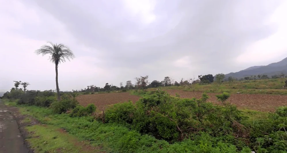 Sector 4,5, PKUC, Pinjore, Bhogpur, Haryana 134104, India