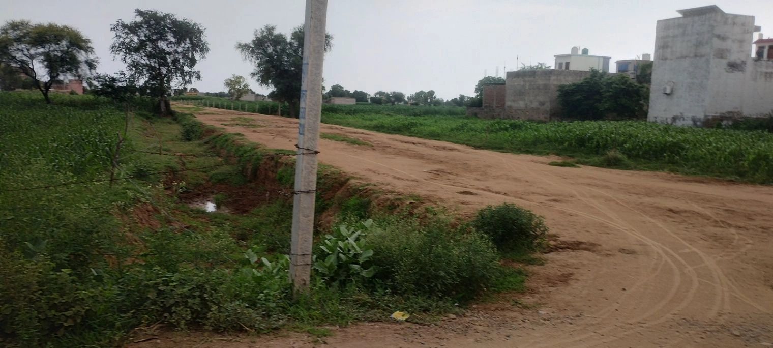 Barodameo, Alwar, Rajasthan 301021, India