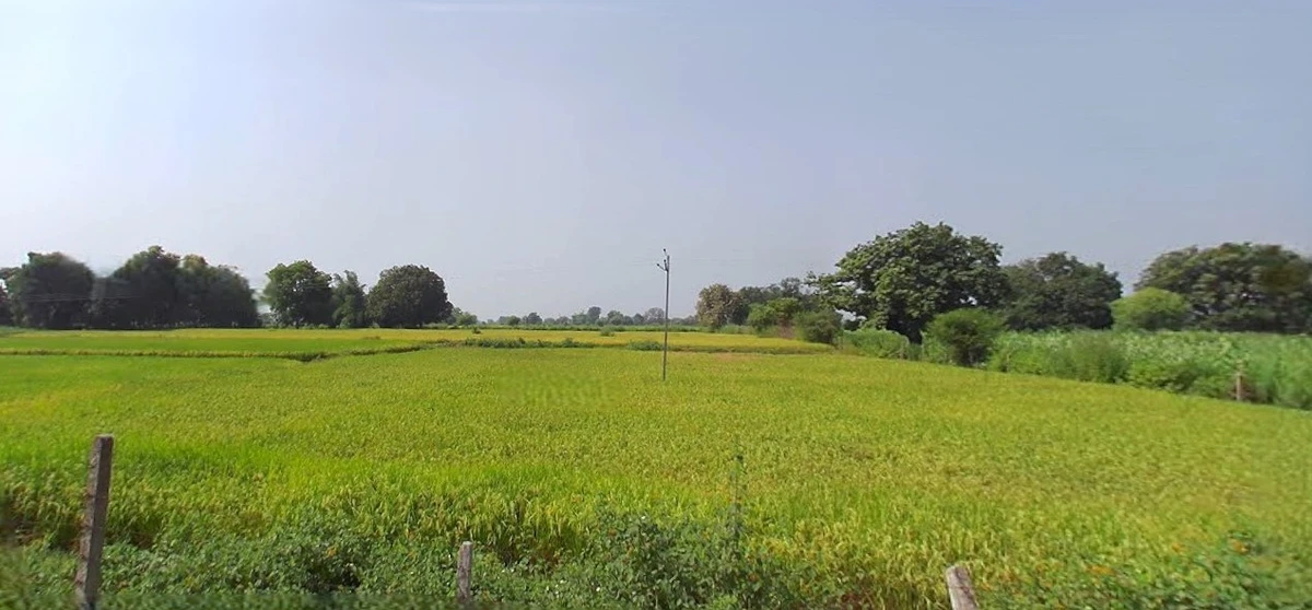 Prayagraj, Uttar Pradesh, India