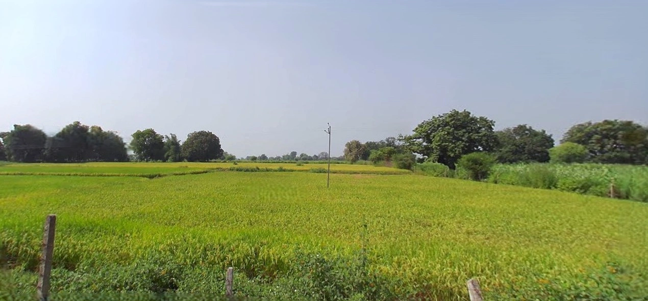 Prayagraj, Uttar Pradesh, India