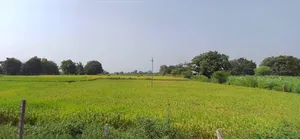 Prayagraj, Uttar Pradesh, India preview 3