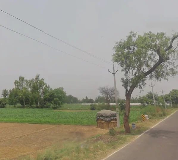 Pooth, Uttar Pradesh 245208, India preview 2