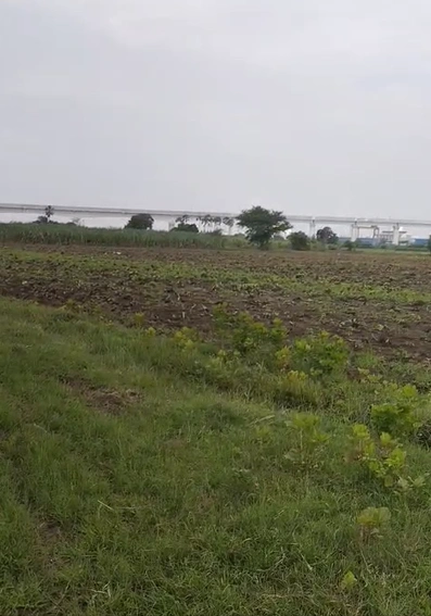 4H8V+8HG, Mahrajganj, Maharajganj, Gaunaria Babu, Uttar Pradesh 273303, India