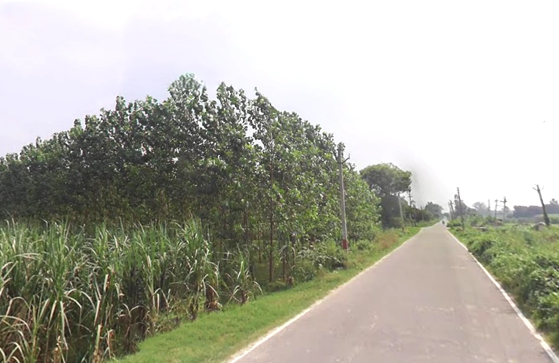 Alampur, Uttar Pradesh 247121, India