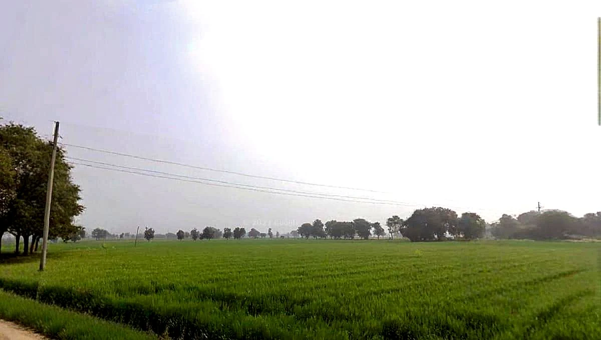 Bhaisana, Madhya Pradesh, India