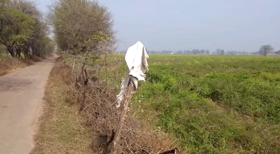 4VRX+39 Gopal Garh, Rajasthan, India