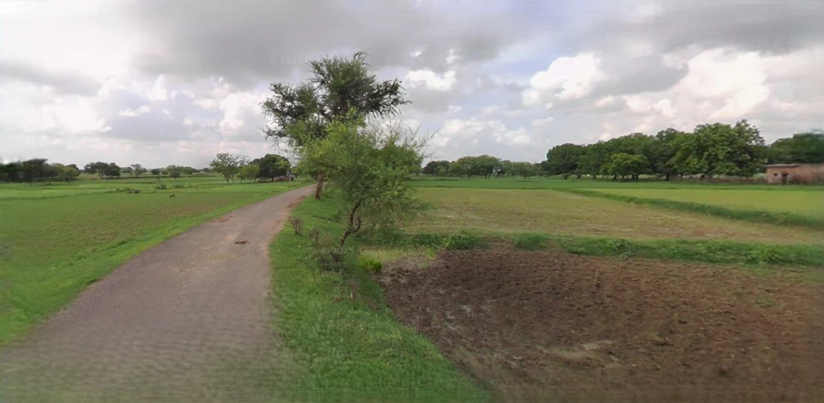 Sonipat, Haryana, India