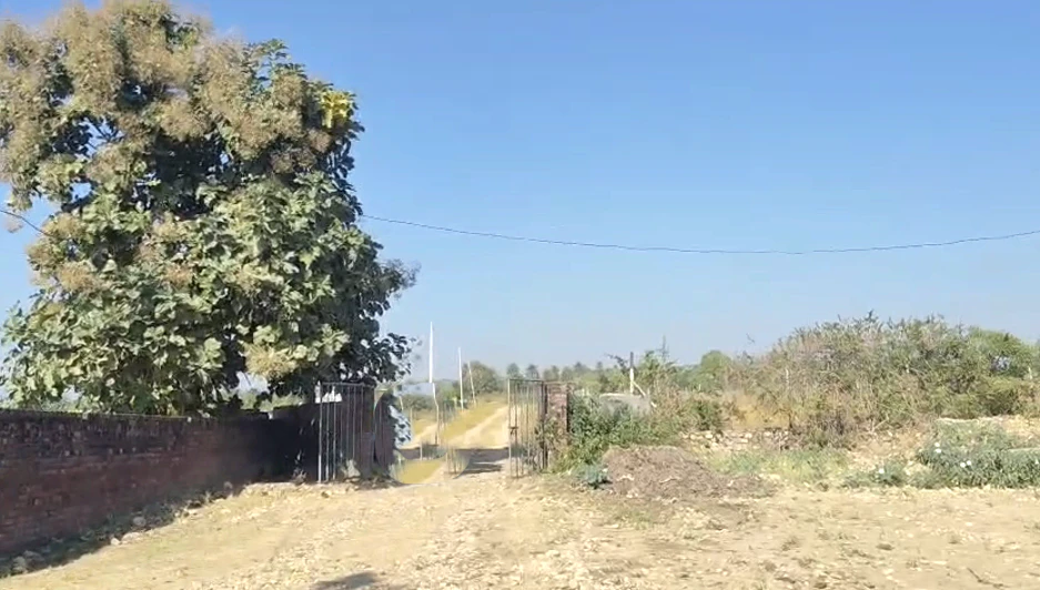 Pojewal, Punjab 144524, India