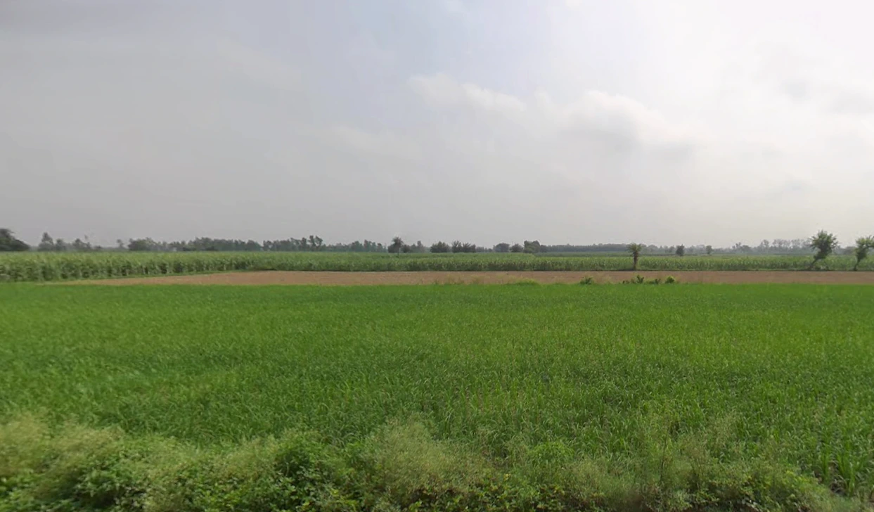 Bilsanda, Uttar Pradesh 262202, India