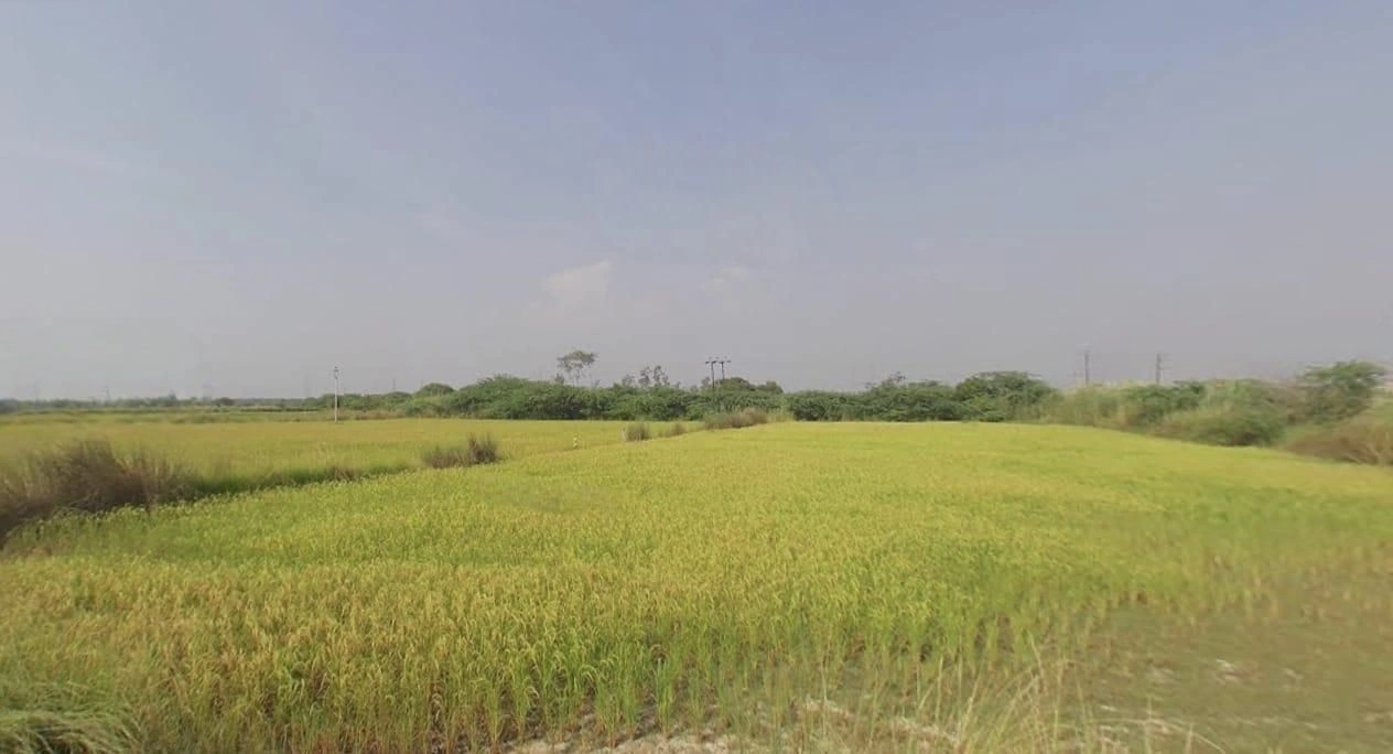 Bhagwanpura, Madhya Pradesh 451441, India preview 2