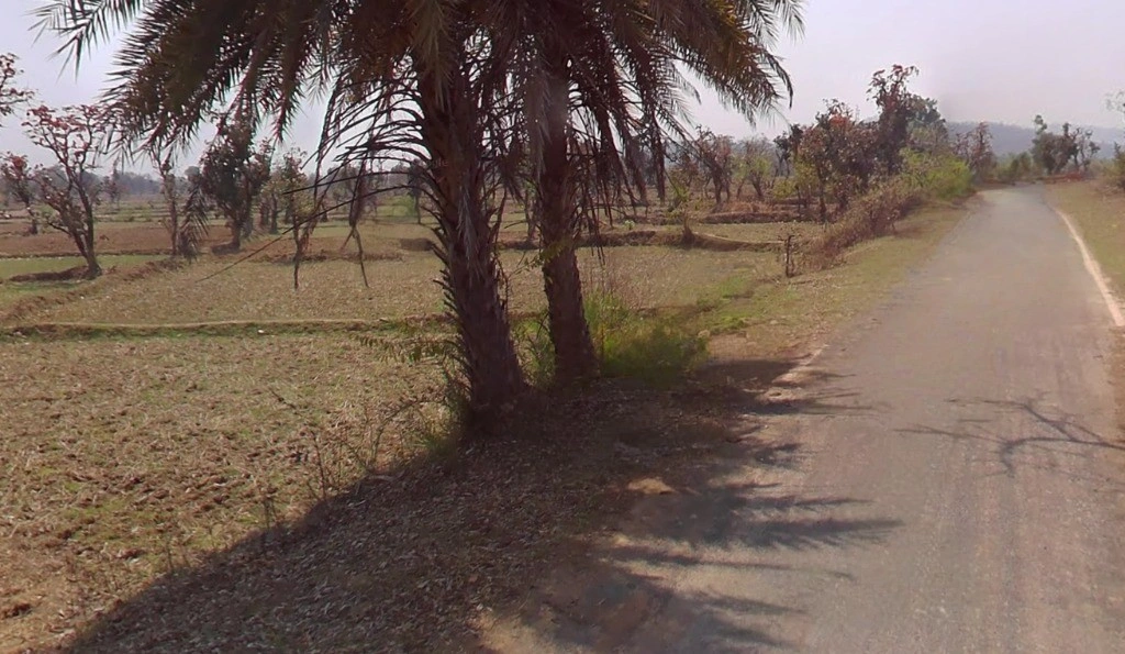 Patewa, Chhattisgarh 493551, India