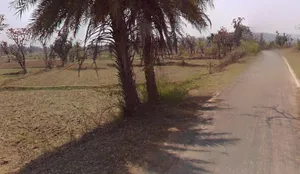 Patewa, Chhattisgarh 493551, India preview 3