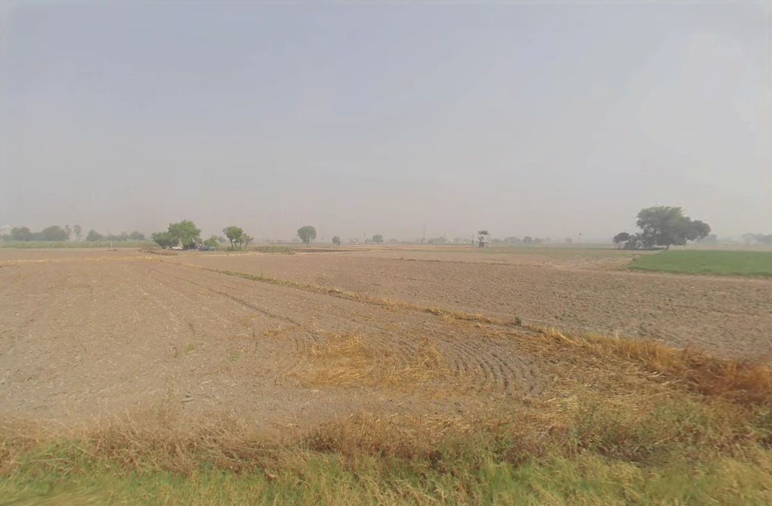 Hassanpur, Haryana 131039, India