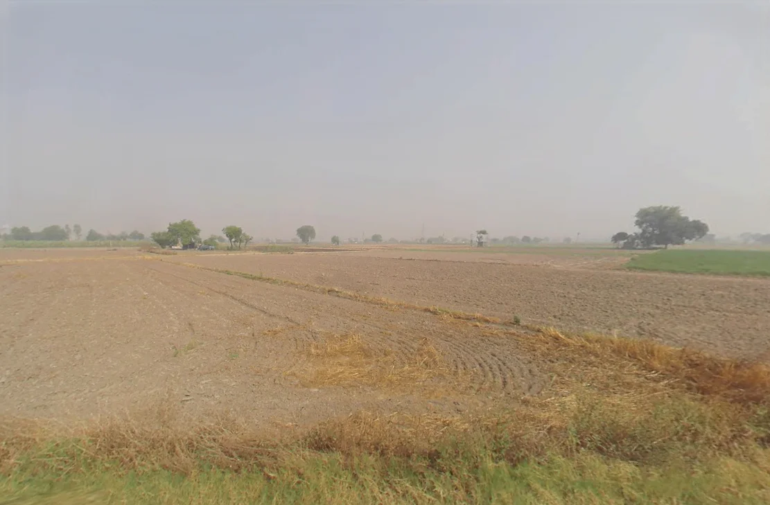 Hassanpur, Haryana 131039, India preview 3