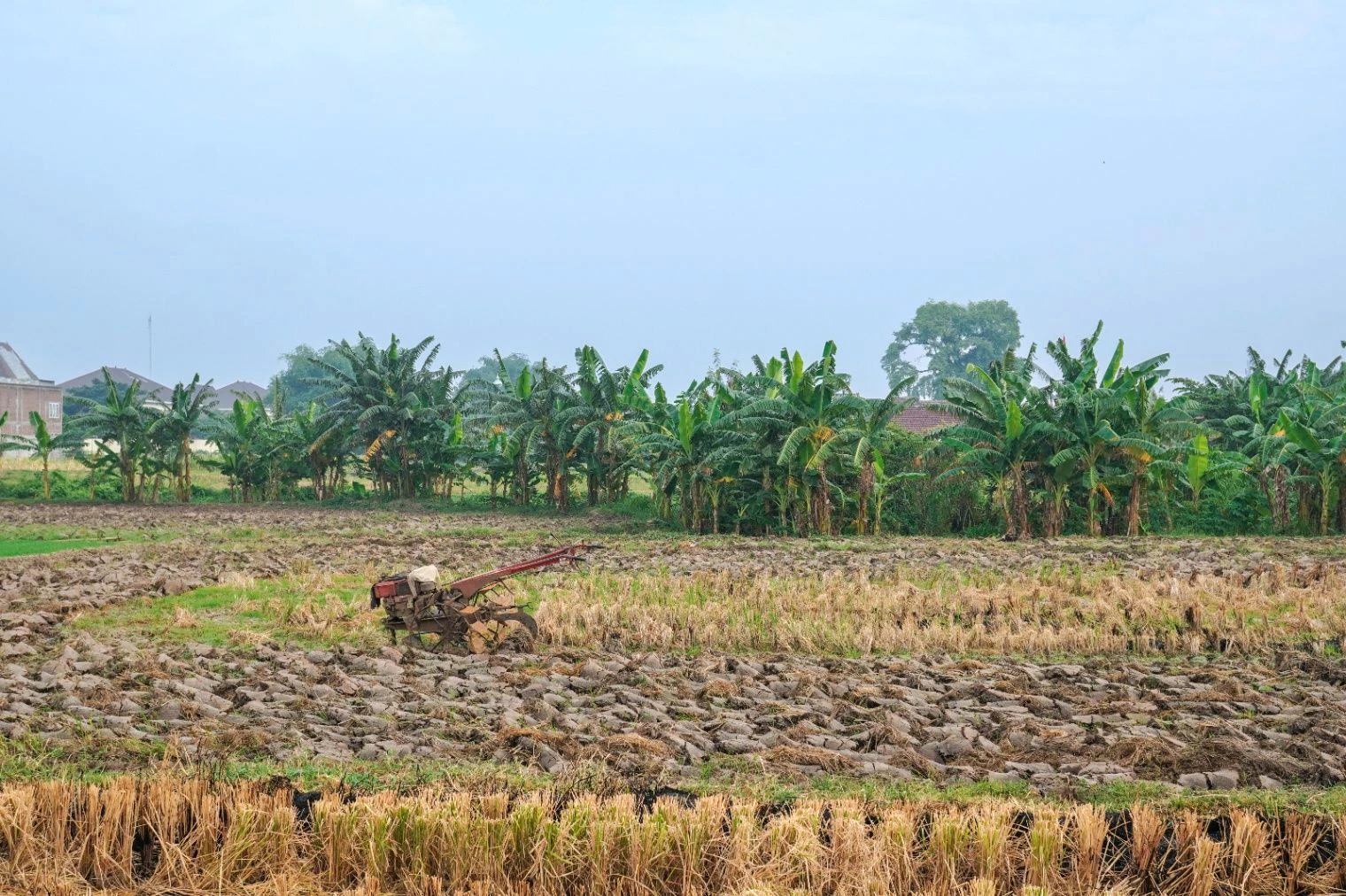 PM76+R35, Agasa Thimmanahalli, Karnataka 562106, India