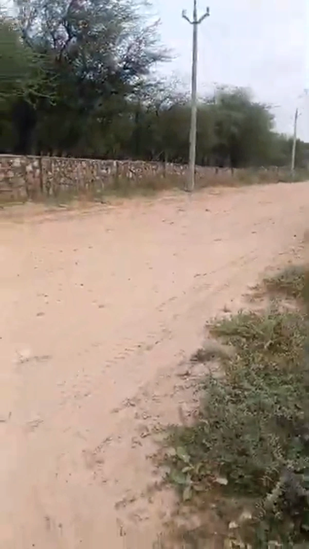 WW93+97, Sumel, Jaipur, Rajasthan 302031, India