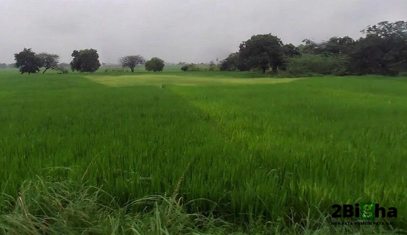Kanpur - Lucknow Rd, Nawabganj, Uttar Pradesh, India