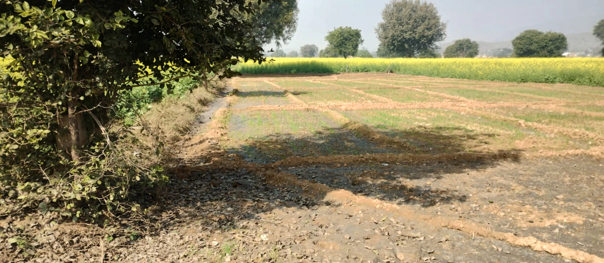Ajnala, Punjab 143102, India