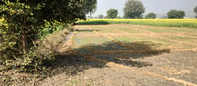 Ajnala, Punjab 143102, India preview 3