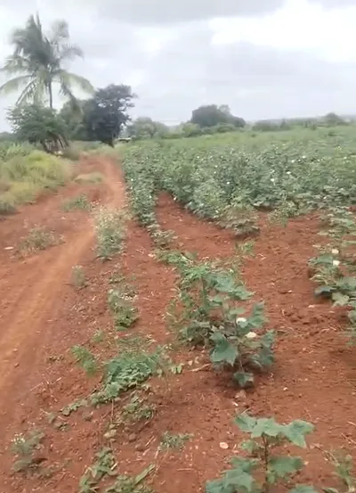 FPX7+6QH, Vikarabad, Damasthapur, Telangana, India preview 2