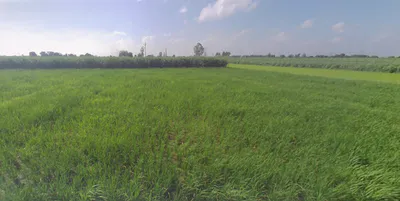 Behajam, Uttar Pradesh 261501, India preview 3