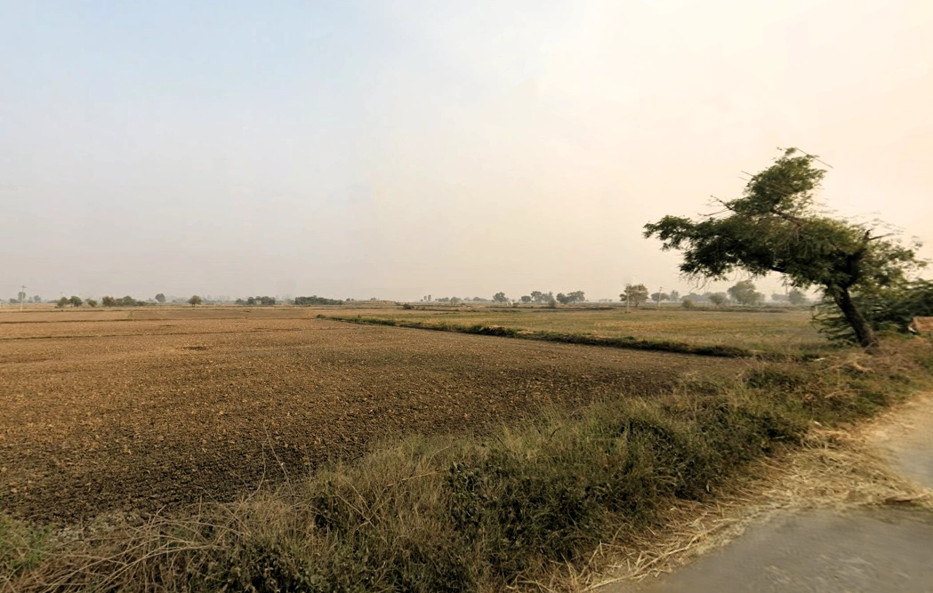 Chiri, Haryana 124514, India