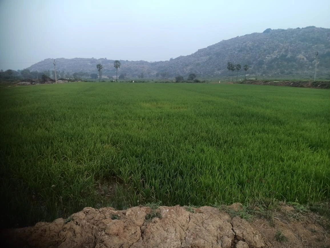 Indrapalanagar, Telangana 508112, India