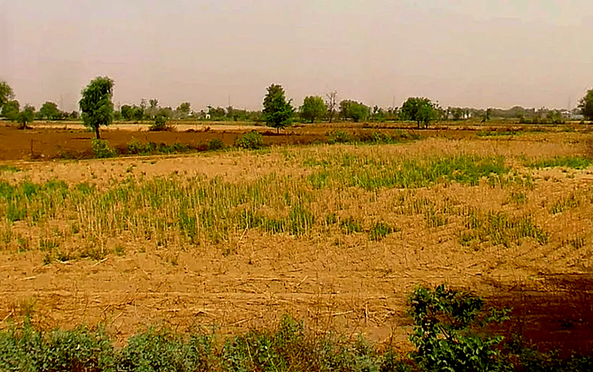 Nikhri, Haryana 123106, India