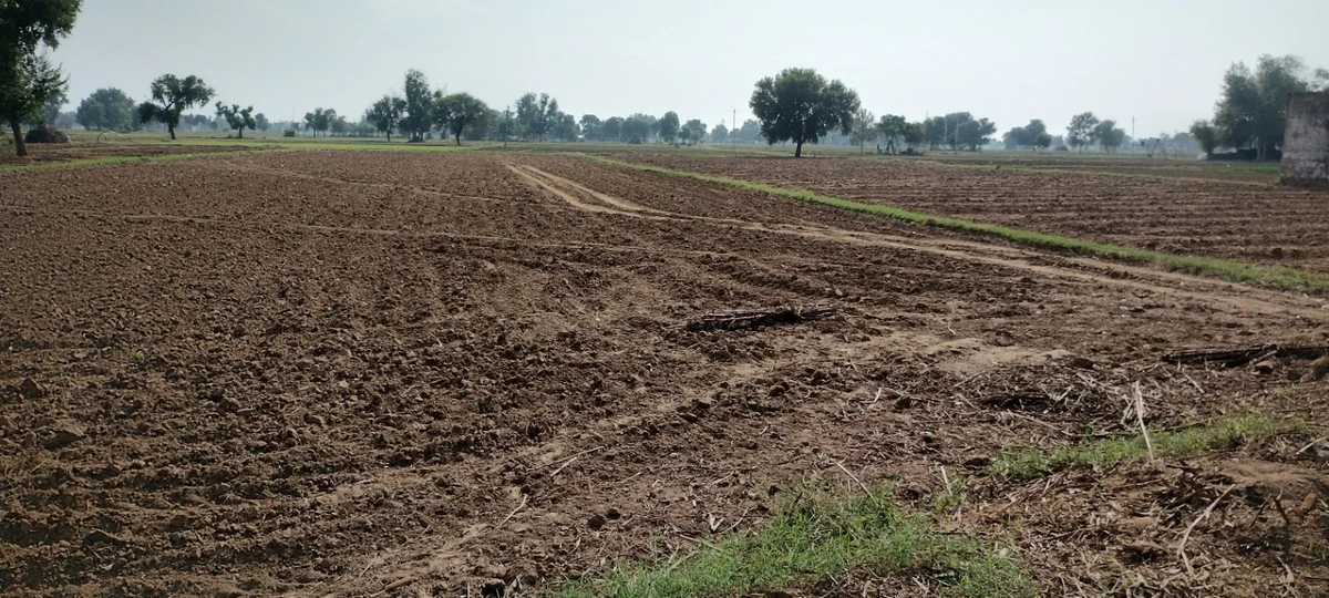 FWR6+JJ5, Gahankar, Rajasthan 301021, India