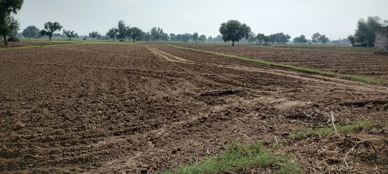 FWR6+JJ5, Gahankar, Rajasthan 301021, India preview 2