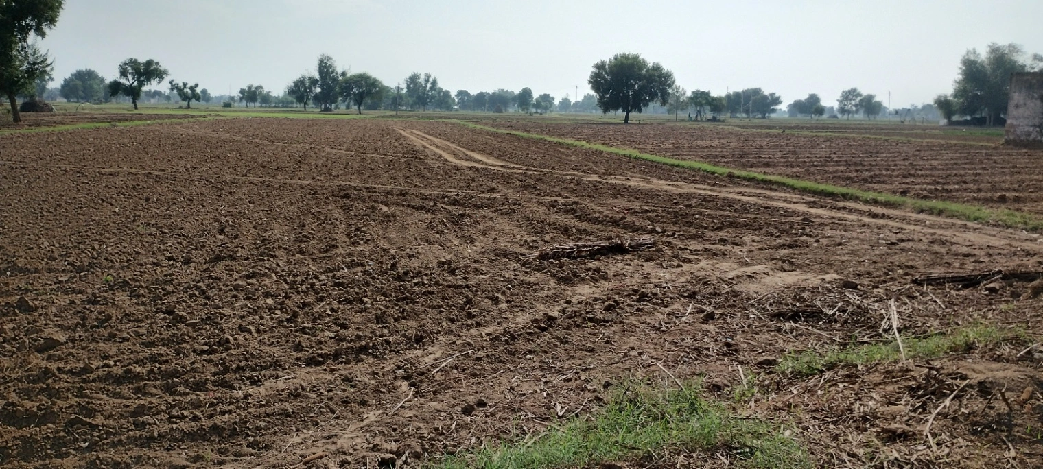 FWR6+JJ5, Gahankar, Rajasthan 301021, India